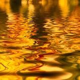 water-gold-goodfreephotoscom-kaz 