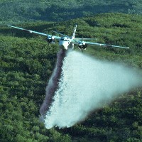 Airplane spraying a forest. Photo by Thomas Hays (colors have been changed). 