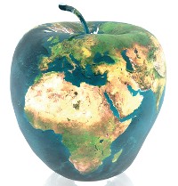 apple from UNEP report 