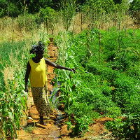 landscapes - creative commons photo from CGIAR climate 