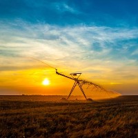 © Prudkov | Dreamstime.com - Irrigation Pivot On The Wheat Field Photo 