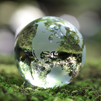 Globe in the forest © Flynt | Dreamstime.com 