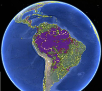 A new forest map combines satellite and citizen science data. Credit: IIASA Geo-WIki, Google Earth 