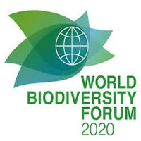 Worldbiodiversityforum logo 