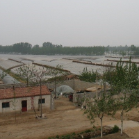 © Chinagro project team | A lake of greenhouses in a Shandong village 