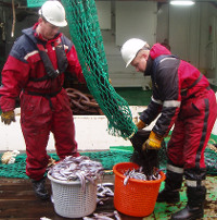 Fisherman unloading nets © Mikko Heino IIASA 