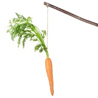 Carrot on a stick © AndreaAstes | iStock