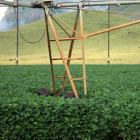 Agricultural irrigation © deldew | iStock