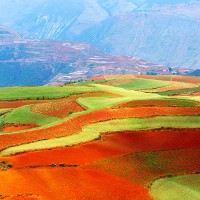 China, fields © raywoo | iStock