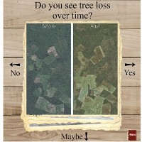 Screenshot of Picture Pile. An example of how the deforestation pile works; players see images from two different time periods and asked to determine if there is evidence of tree loss or deforestation over time. 