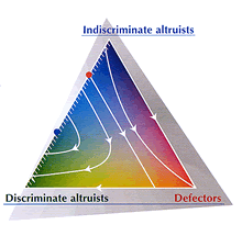 Dynamics of the interaction among defectors, indiscrimate altruists and discriminate altruists.